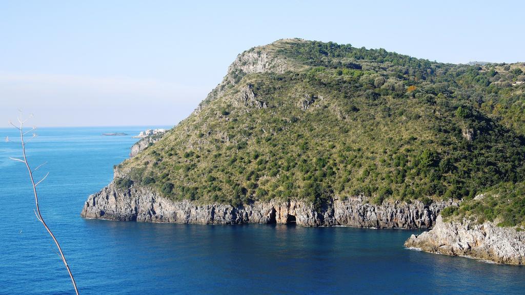 Delfino 3* Marina di Camerota