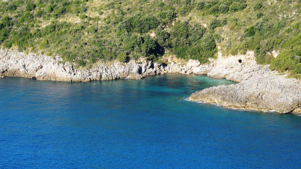 Delfino 3* Marina di Camerota